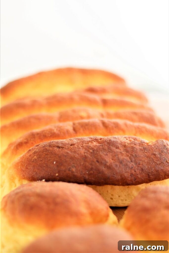 hot dog and hamburger brioche buns