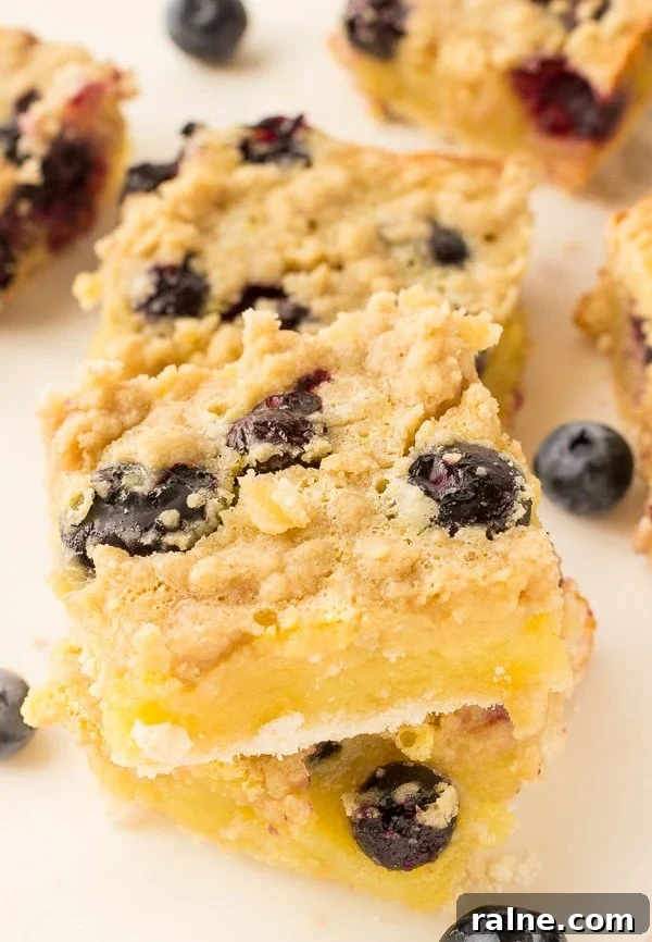 Blueberry Lemon Bars Recipe