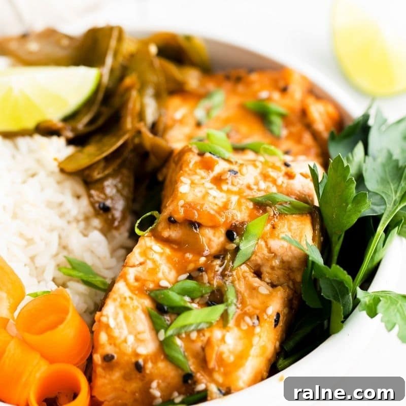 Instant Pot Salmon: Perfect Fresh or Frozen Fillets in Minutes 7 salmon in a rice bowl with toppings
