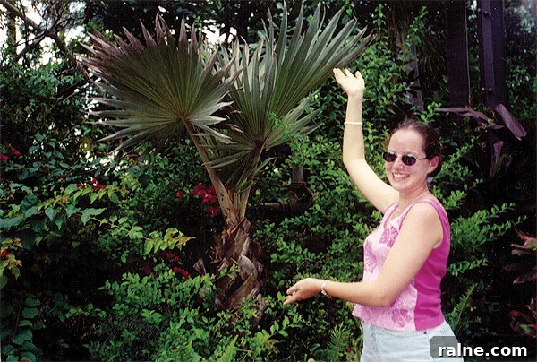 Leigh and her palm tree