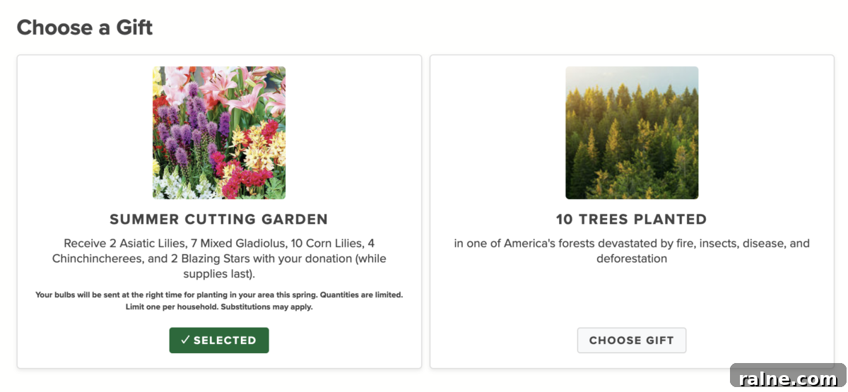 Get 25 Free Flowering Shrubs with a $10 Arbor Day Donation 6 A choice of 10 Trees planted or Summer Cutting Garden