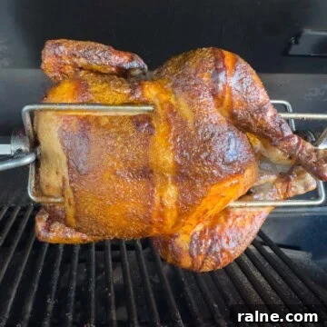 Golden brown chicken on a rotisserie grill with silver meat forks.